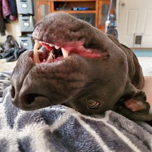 Meet your Posher, Cheri